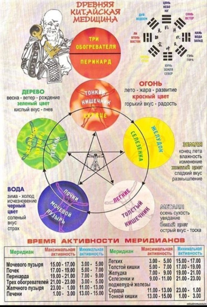 Меридианы на теле человека схема китайская медицина